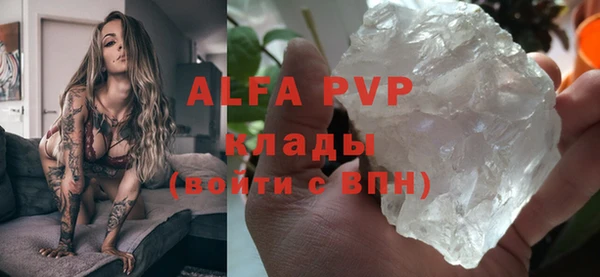 винт Каменка