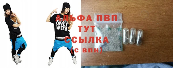 винт Каменка