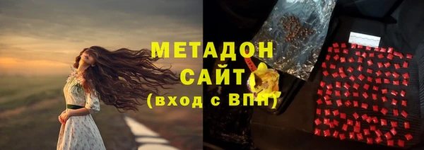 прущие грибы Каменск-Шахтинский