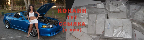 мяу мяу мука Каменногорск