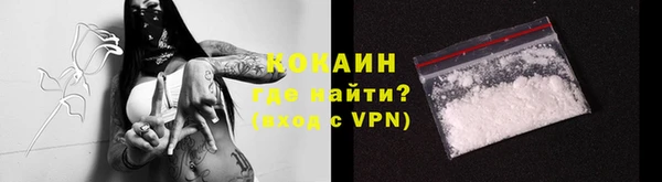 винт Каменка