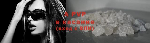 прущие грибы Каменск-Шахтинский
