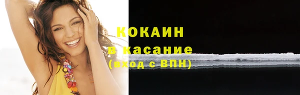 винт Каменка