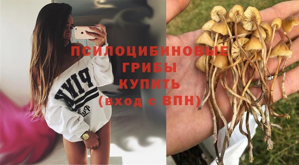 мяу мяу мука Карталы